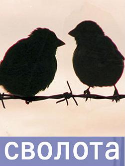 Сволота