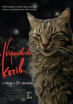 Королевство котов