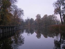 Сырец
