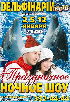 Праздничное ночное романтическое шоу
