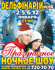 Праздничное ночное шоу