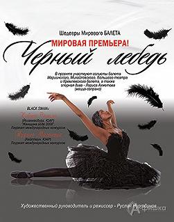 Черный лебедь