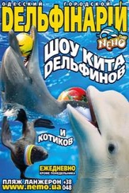 Шоу кита, дельфинов и котиков