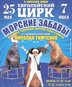 Звёзды моря и манежа