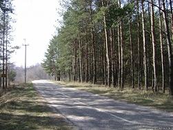 Между Кончей и Заспой